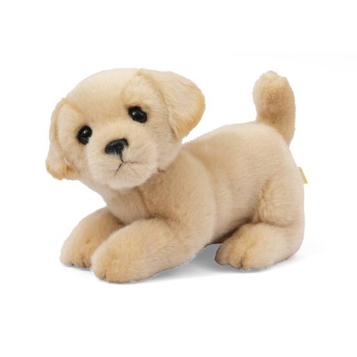 Ami Plush - Peluche cão 20 cm (vários modelos)