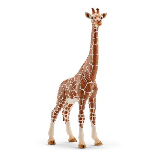 Schleich - Girafa Fêmea