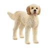 Schleich - Goldendoodle