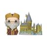 Harry Potter - Dumbledore com Hogwarts  - Figura Funko POP  Aniversário - 57369