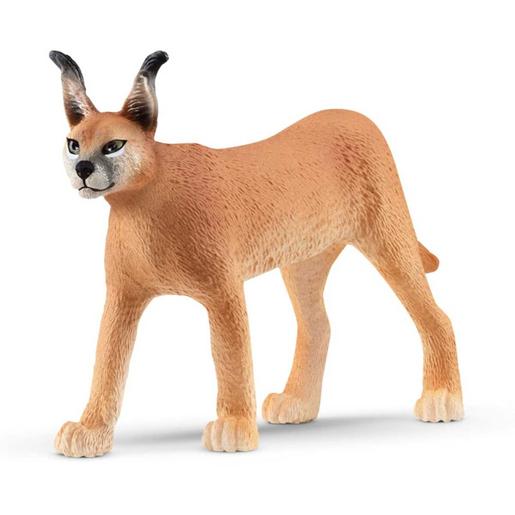 Schleich - Figura de brinquedo Fêmea de Caracal Vida Selvagem (Vários modelos) ㅤ