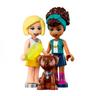 LEGO Friends - Camión de los Helados - 41715