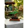 LEGO Creator - Bonsai - 10281