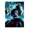 Ravensburger - Harry Potter - Pack 2 puzzles 500 piezas