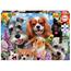 Educa Borrás - Selfie de animais - Puzzle 200 peças