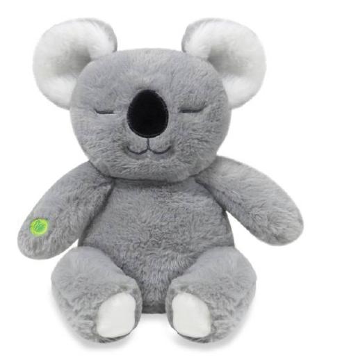 Koala compañero de meditación