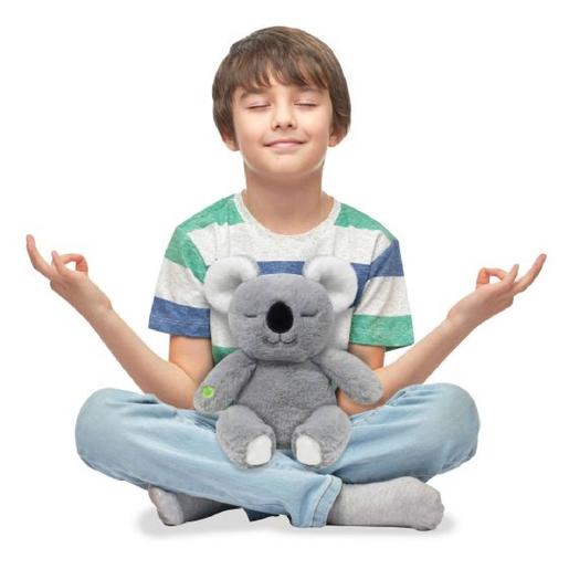 Koala compañero de meditación