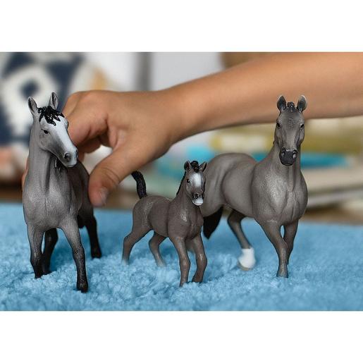 Schleich - Garanhão Selle Français